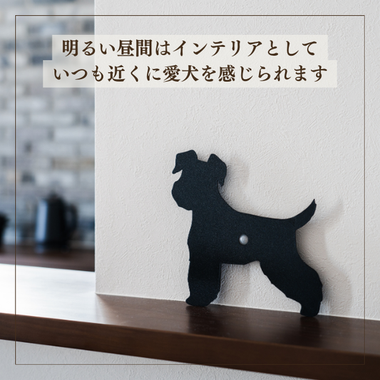 ミニチュアシュナウザー(立ち姿)