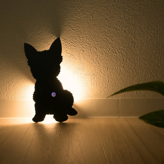 ヨークシャテリア