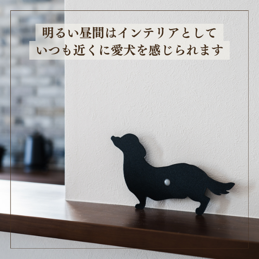 ダックスフンド