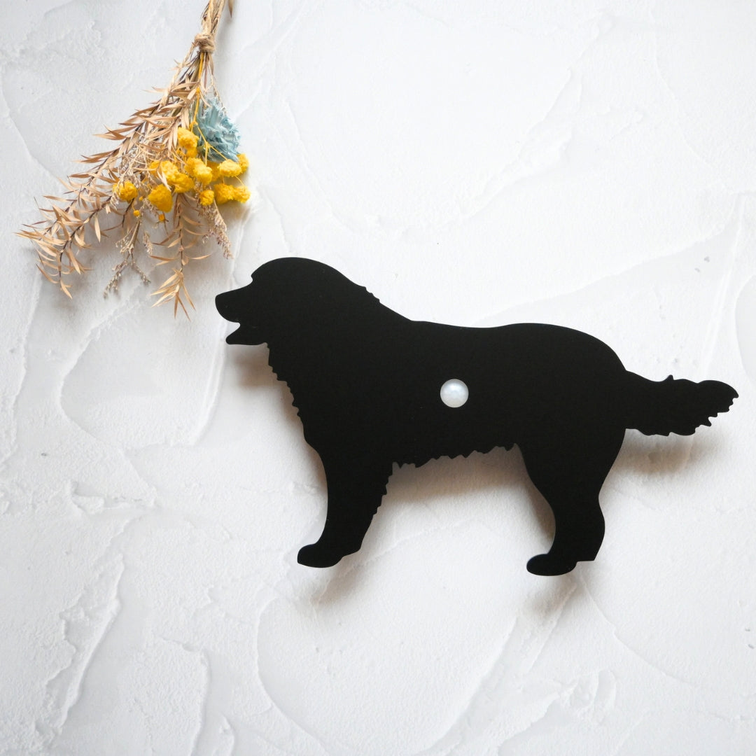 バーニーズマウンテンドッグ