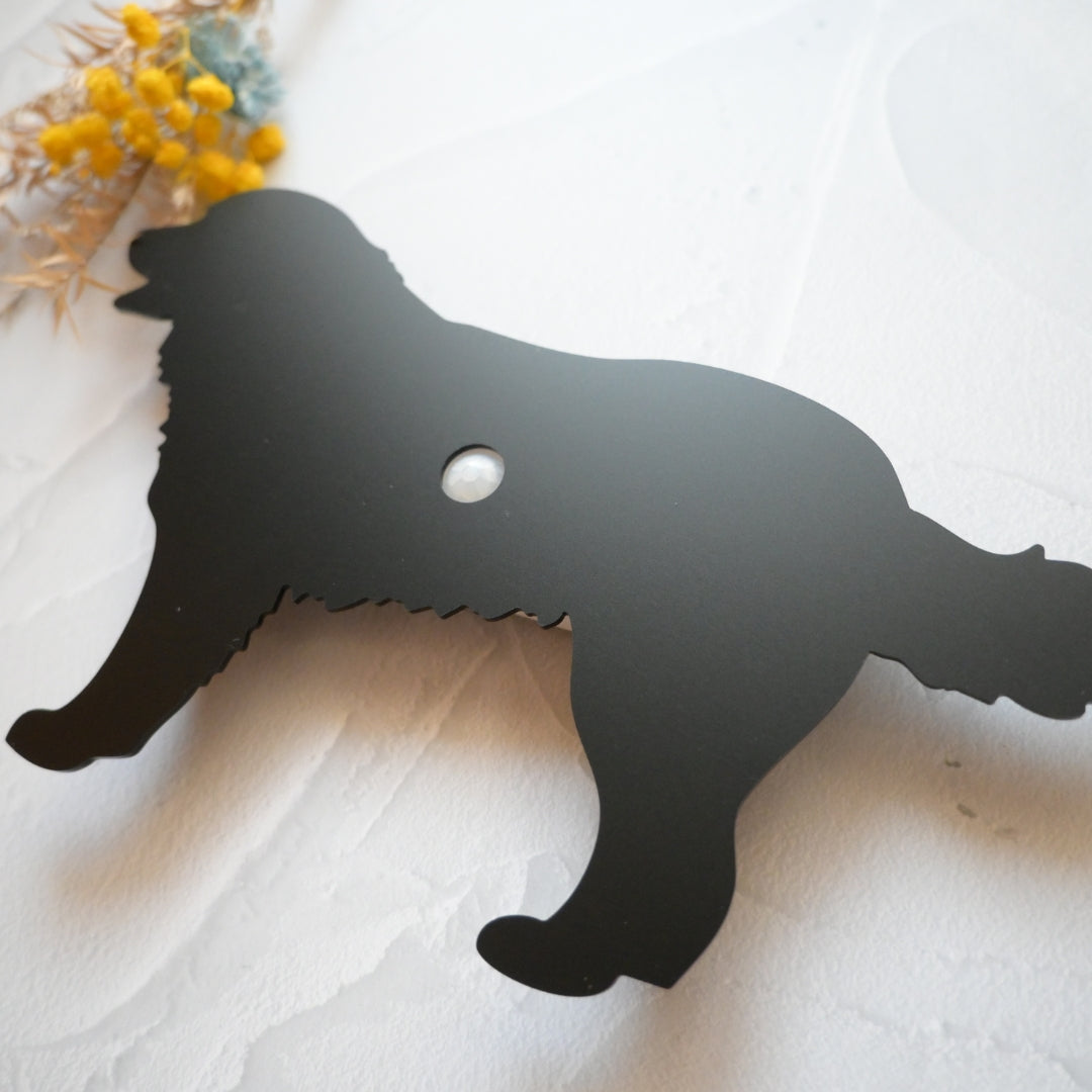 バーニーズマウンテンドッグ