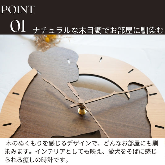 チワワ ロングコート