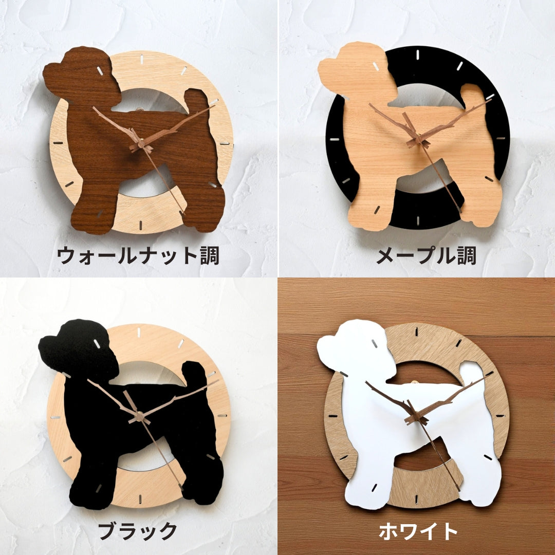 チワワ×トイプードル