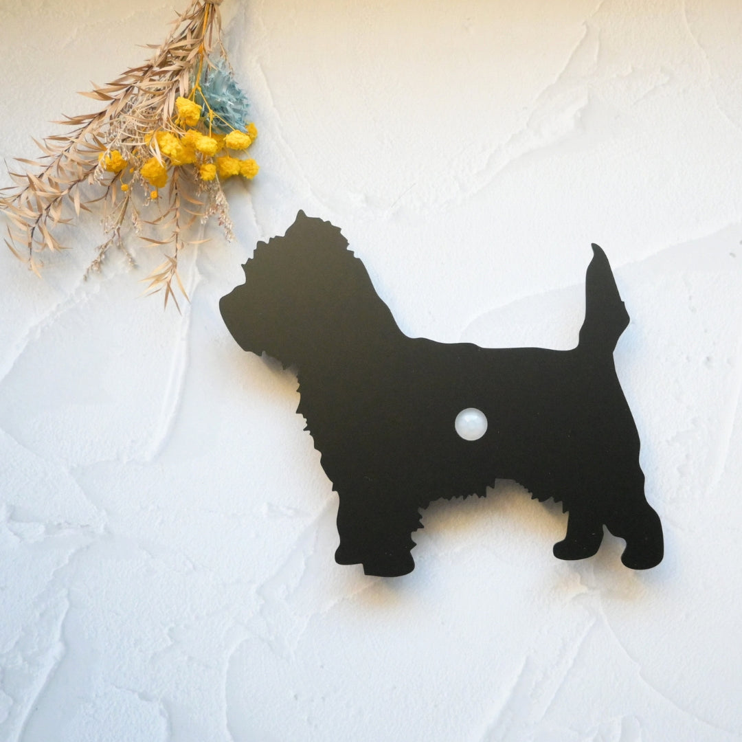 ケアーンテリア