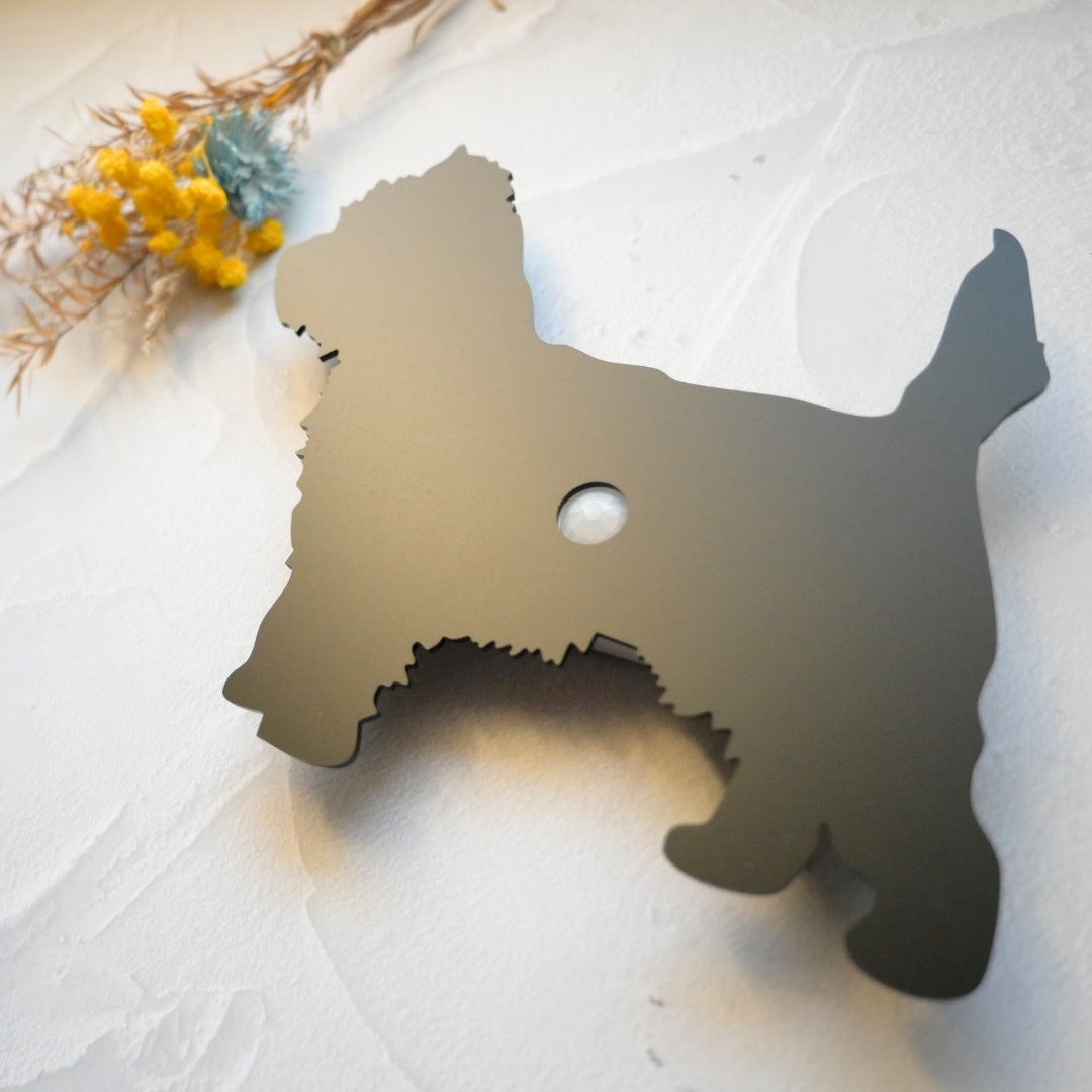 ケアーンテリア