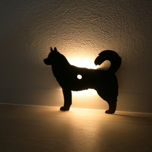 シベリアンハスキー