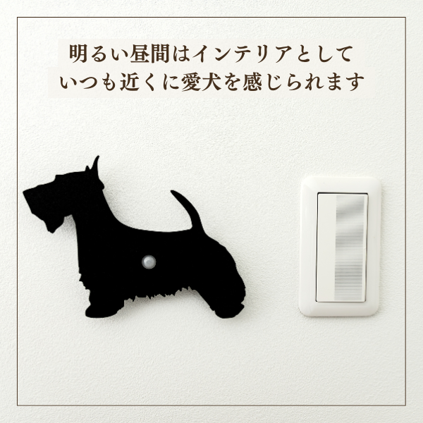 スコティッシュテリア