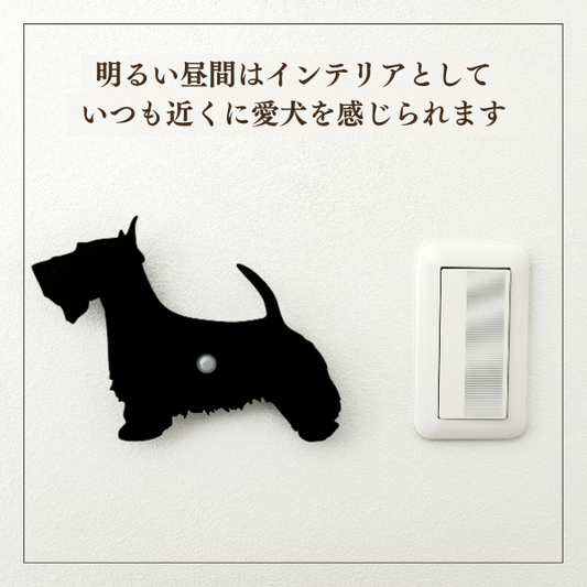 スコティッシュテリア
