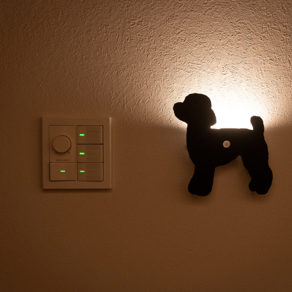 トイプードル(立ち姿)