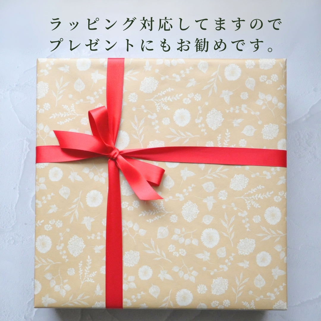 トイプードル(立ち姿)