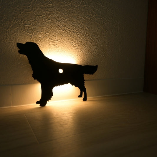 ゴールデンレトリバー