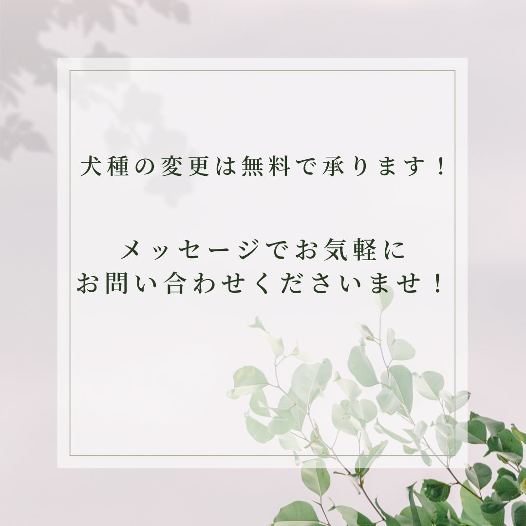 とびだしわんこクロック_ビジョンフリーゼ