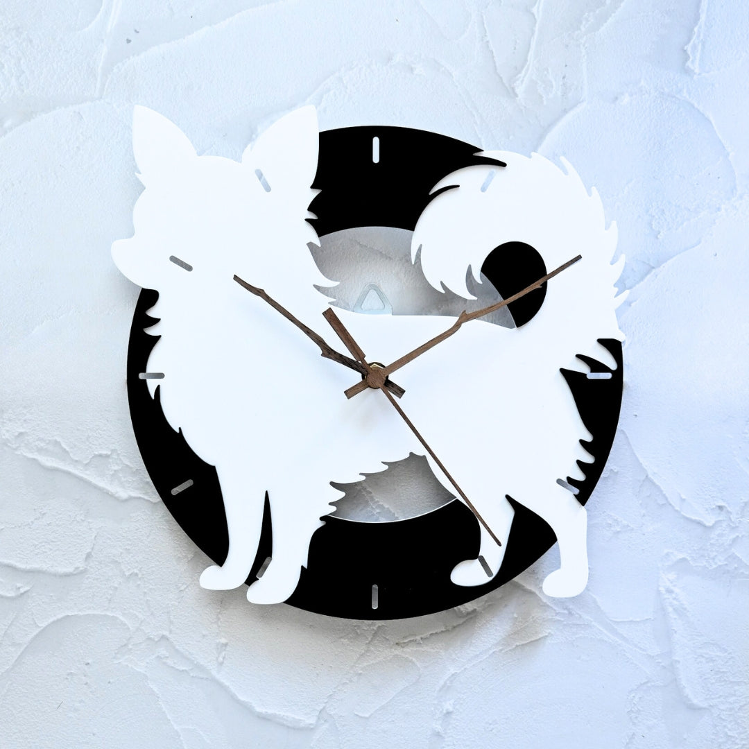 チワワ ロングコート – Pisae