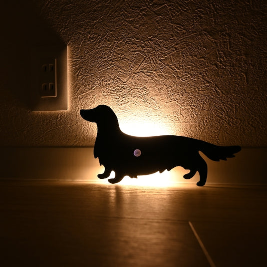 ダックスフンド　ロングヘア