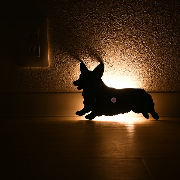 コーギー（走り）