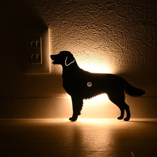 フラットコーテッドレトリバー