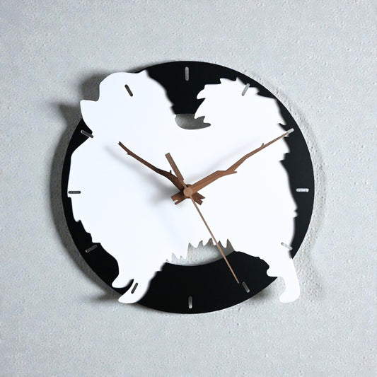 ポメラニアン (ホワイト×ブラック)