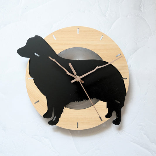 オーストラリアンシェパード