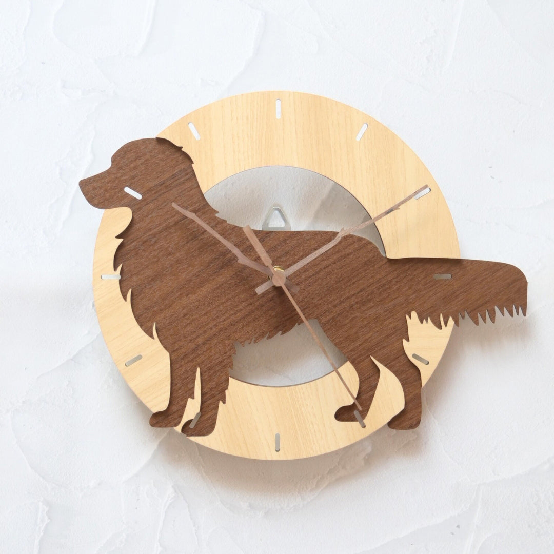 コーイケルホンディエ