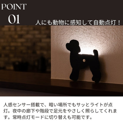 ゴールデンレトリバー