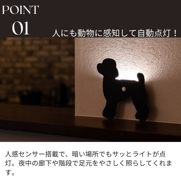 トイプードル（立ち姿2）