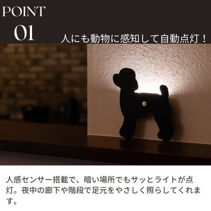 トイプードル（立ち姿2）