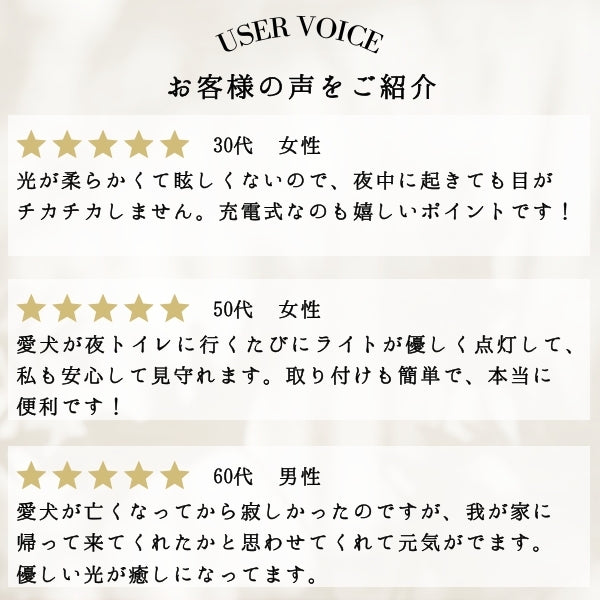 トイプードル（立ち姿2）