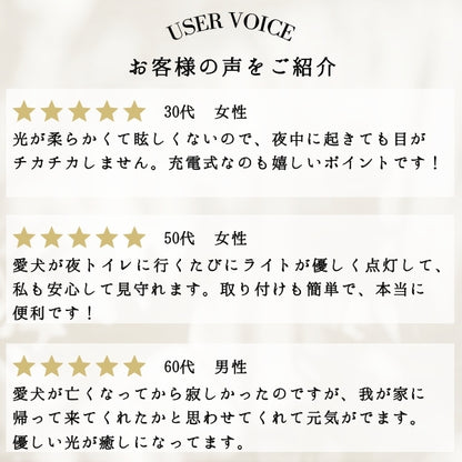 トイプードル（立ち姿2）