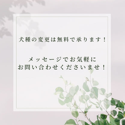 トイプードル（立ち姿2）