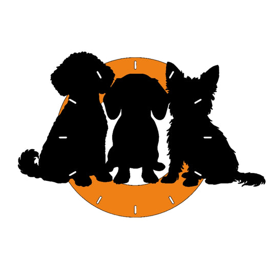 マルプー×ダックス×ヨークシャテリア